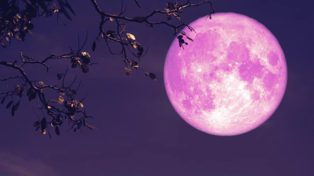 Strawberry Moon 2025