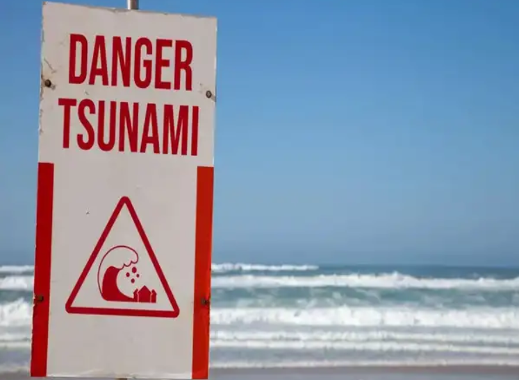 Tsunami warning in California : First Wave Arrival Time and Impact Zones Revealed