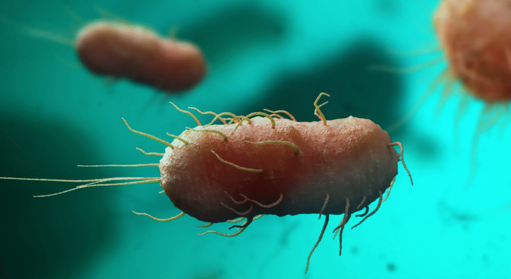 Plague Returns to U.S.: Arizona Patient Dies from Rare ‘Black Death’ Case