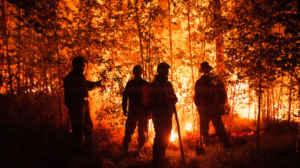 California Canyon Fire Forces Evacuations as Red Cross Ramps Up Relief Efforts