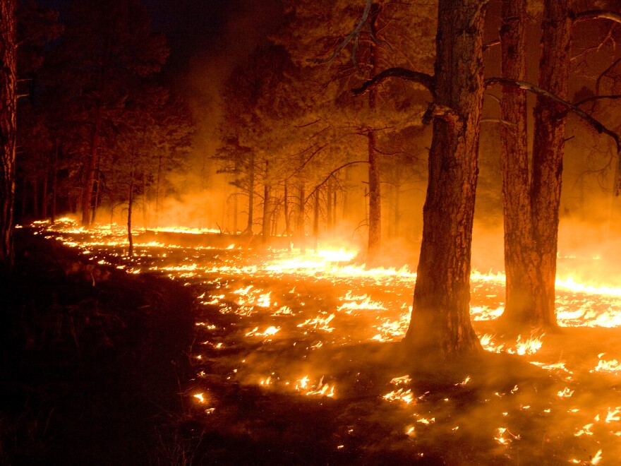 California Canyon Fire Forces Evacuations as Red Cross Ramps Up Relief Efforts
