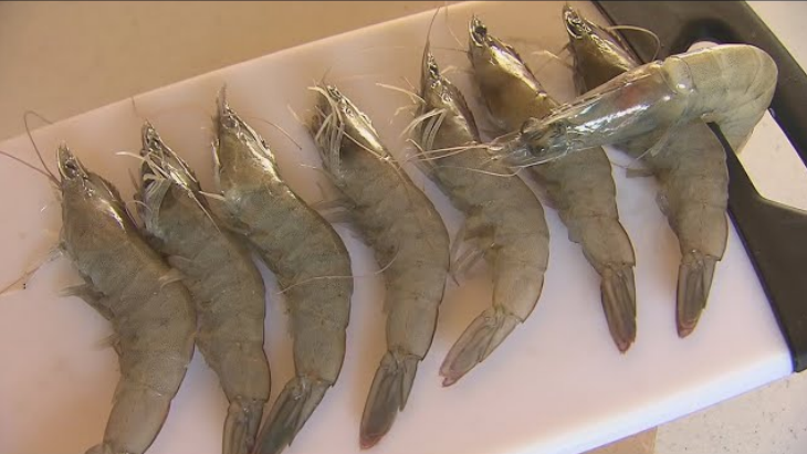 FDA Ensures Consumer Safety: Walmart Frozen Shrimp Under Investigation for Quality