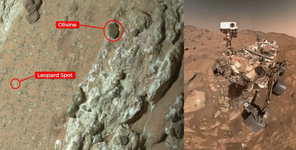 Breaking News : NASA Announces Evidence of Ancient Life on Mars