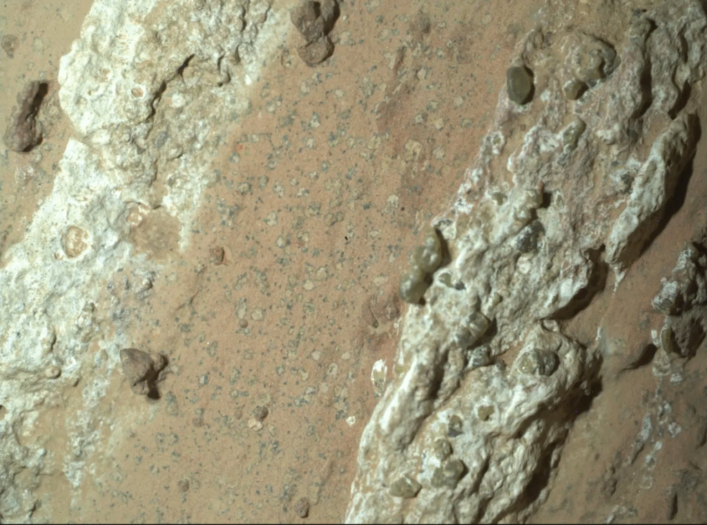 Breaking News : NASA Announces Evidence of Ancient Life on Mars
