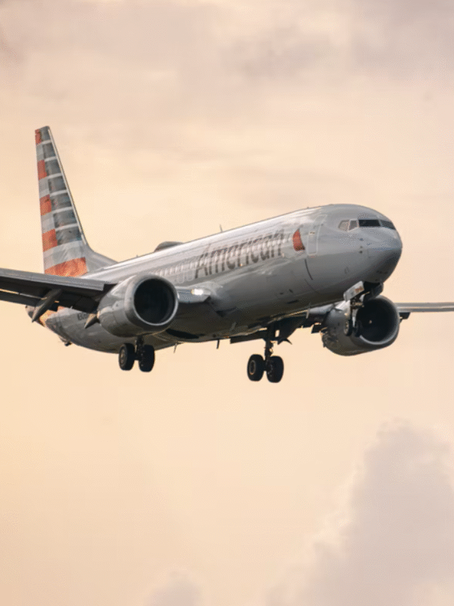 American Airlines cancels flight